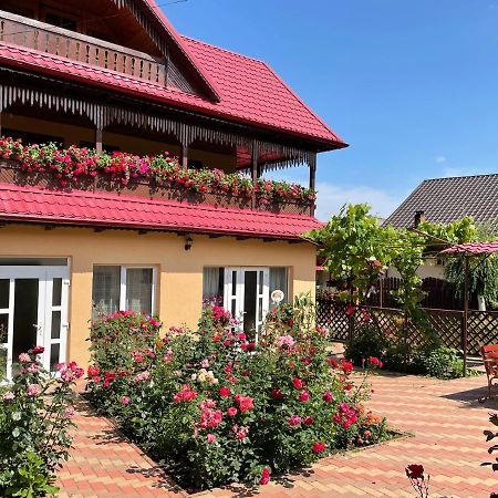 Pensiunea Alina Agapia Exterior photo