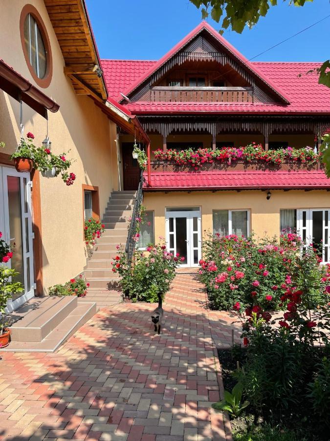 Pensiunea Alina Agapia Exterior photo